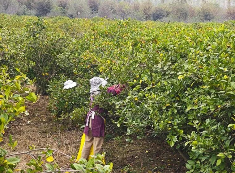 936db315a52adededd6b1a51a8dc61be.png 936db315a52adededd6b1a51a8dc61be.png